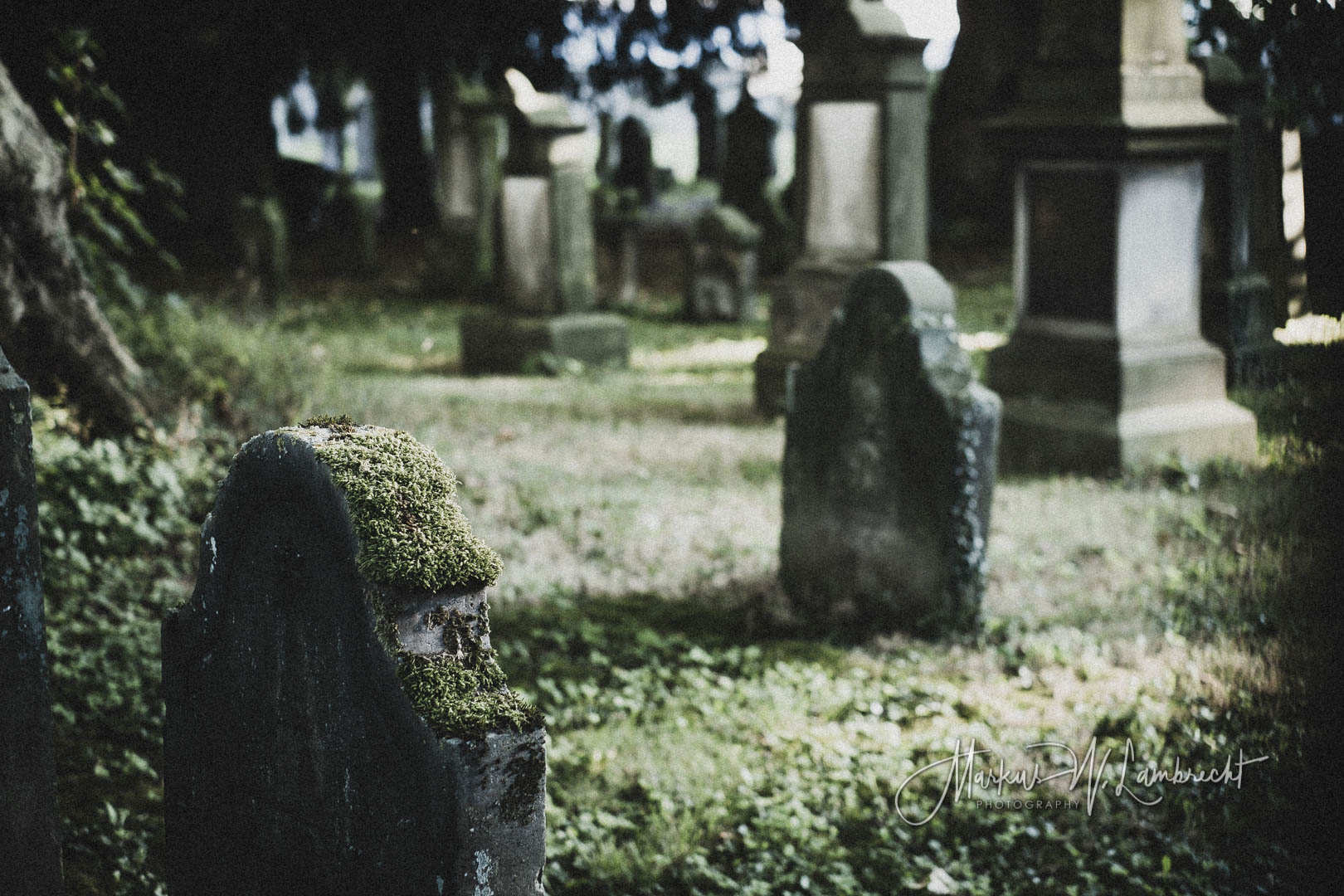 Hameln, Jüdischer Friedhof
